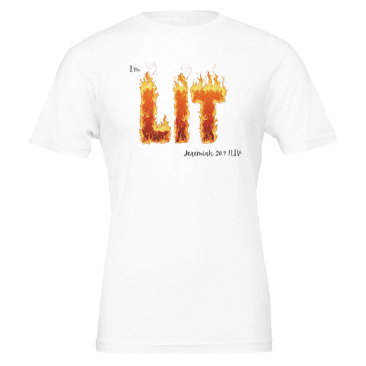 d4378504-63df-4926-a08d-6d3e944f7419